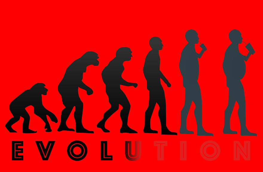 38-évolution