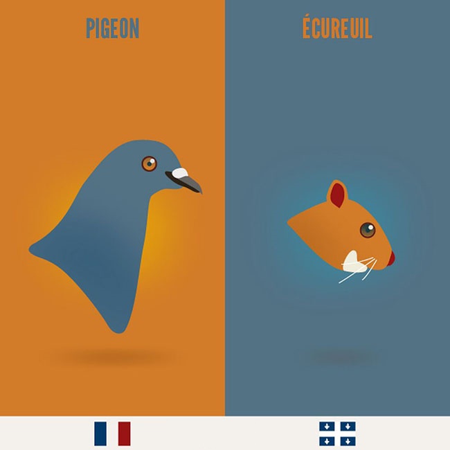 xx-ilustrations-qui-montrent-la-difference-entre-la-france-et-le-quebec-21