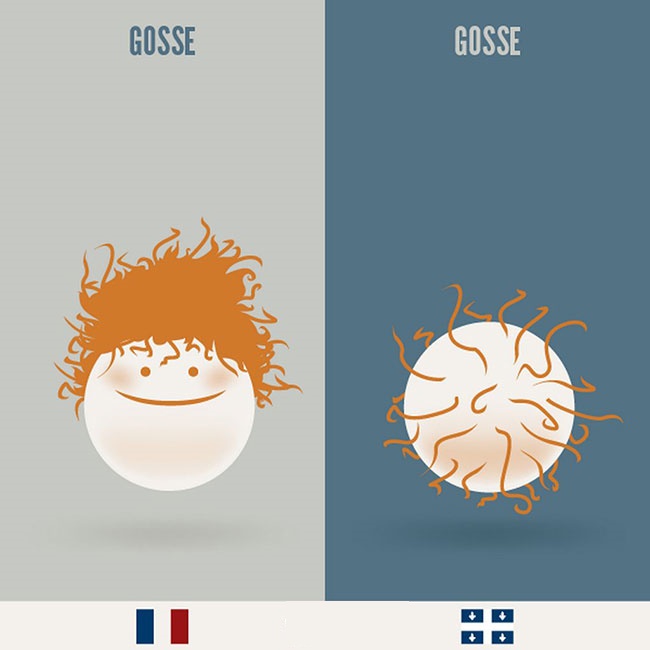 xx-ilustrations-qui-montrent-la-difference-entre-la-france-et-le-quebec-5