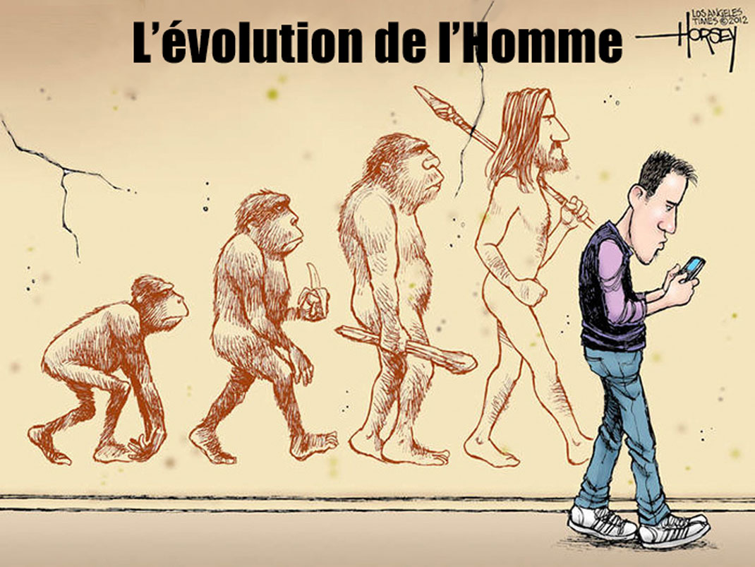 24-évolution