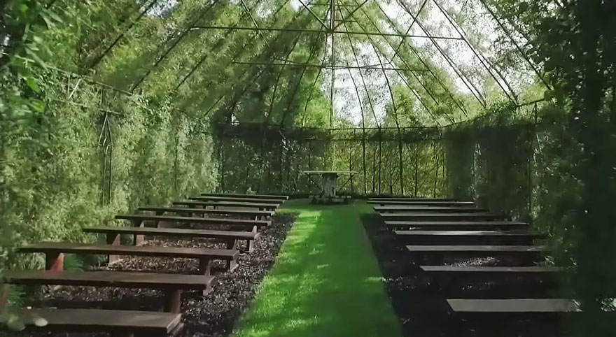 tree-church-nature-installation-barry-cox-new-zealand-8