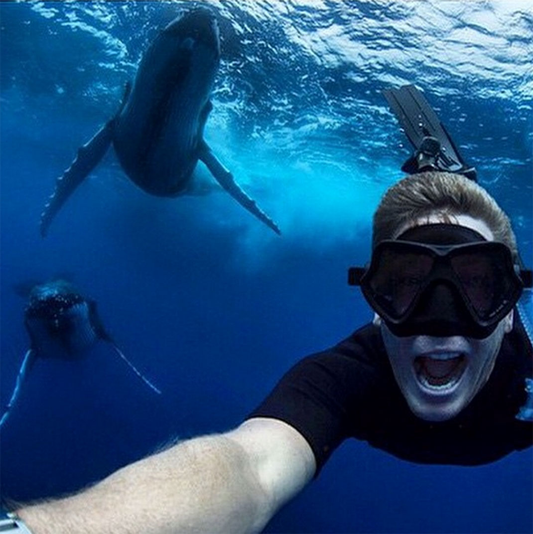 selfie-baleine-divingonearth