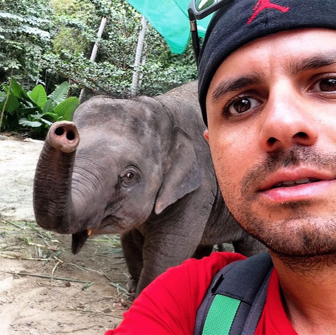 selfie-elephant-bruninho_83