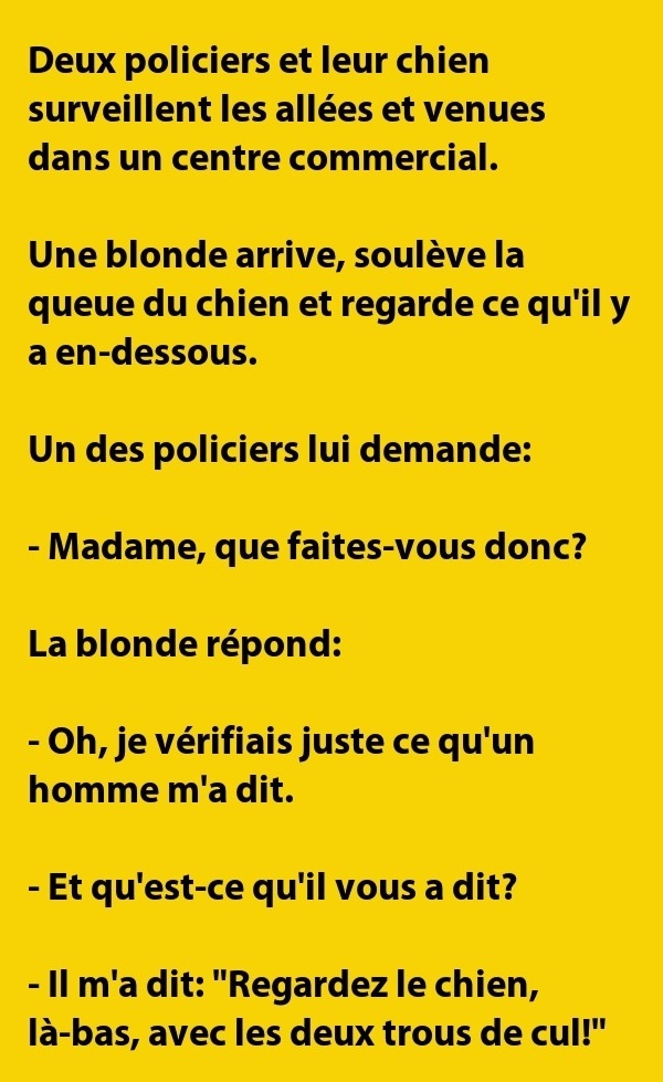 Scarica Gratis Images Blague Deux Policiers Et Leur Chien Dans Le Centre Commercial actualisé par