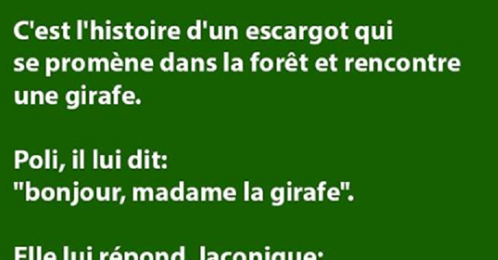 blague sur les rencontre
